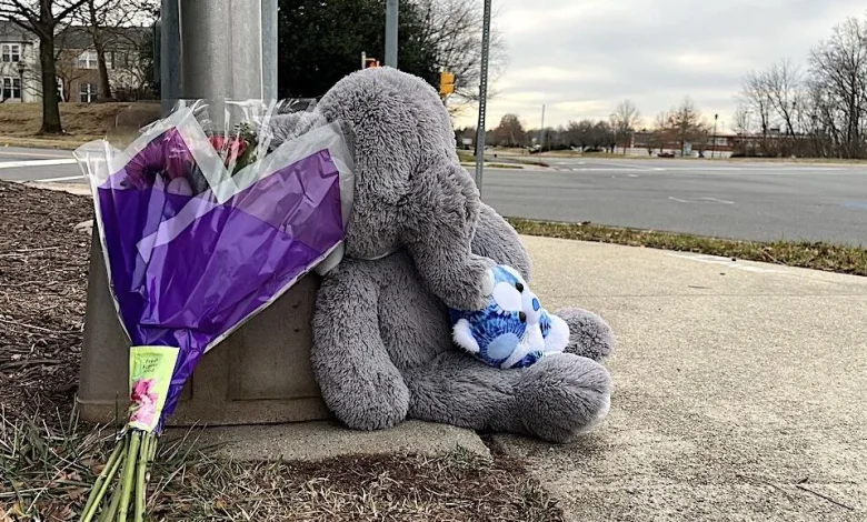 Student Struck, Killed By School Vehicle Near Stone Bridge High School - LoudounNow.com