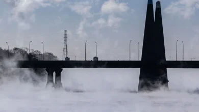 Sud du Québec | Après le froid, une bordée de neige attendue