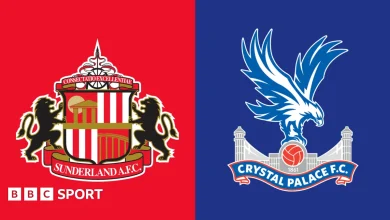 Sunderland vs Crystal Palace: Premier League preview, team news, stats & head-to-head