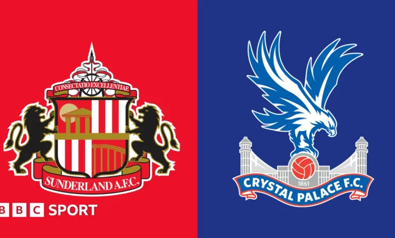 Sunderland vs Crystal Palace: Premier League preview, team news, stats & head-to-head