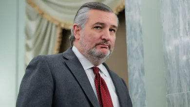 Suns guard draws Ted Cruz comparison during win over Nets