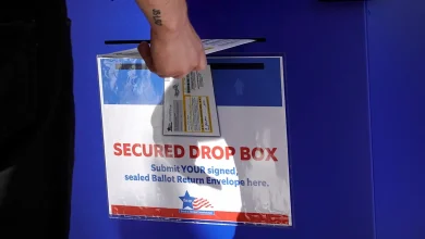 Supreme Court says Illinois congressman can sue over state mail-in voting laws