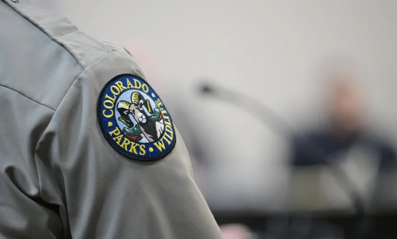 Suspected mountain lion attack in Northern Colorado leaves woman dead; officers euthanize 2 animals