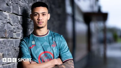 Swansea City sign Brentford winger Gustavo Nunes on loan