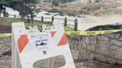 Swimmer Erica Fox died from shark attack near Lovers Point in Pacific Grove, coroner confirms