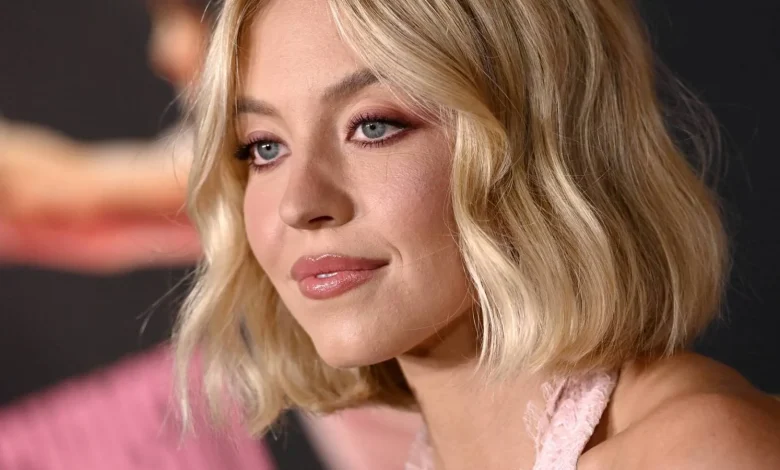 Sydney Sweeney Didn't Have Permission to Hang Bras on Hollywood Sign