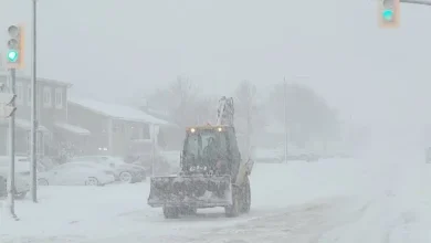 System That Battered Mainland to Bring 12-25 cm to Parts of Avalon Today