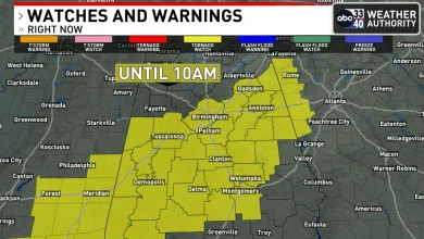 TORNADO WATCH Issued for much of Central Alabama