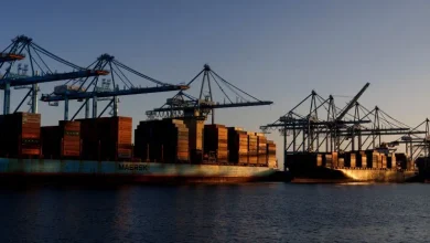 Tariffs could really sting in 2026. Unless Trump chickens out again