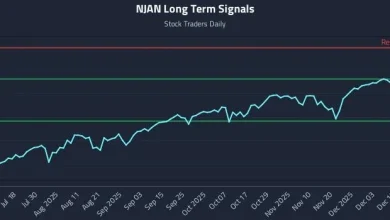 Technical Reactions to NJAN Trends in Macro Strategies
