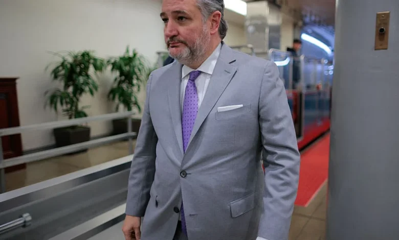 Ted Cruz spotted on a plane to Laguna Beach ahead of Texas winter storm