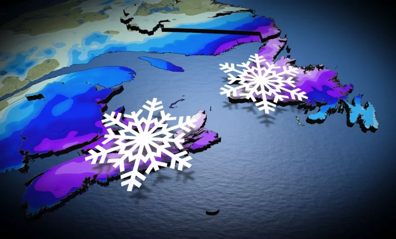 Tempête côtière : jusqu’à 30 cm de neige dans l'est du pays
