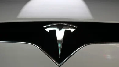 Tesla's quarterly deliveries fall more than expected on lower EV demand