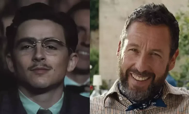 'That Should Have Been Me': Timothée Chalamet Revealed The Adam Sandler Movie He Wanted To Be In