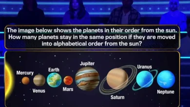 The 1% Club knocks out a shocking SEVENTEEN players with tricky solar image – but would you have worked it out?