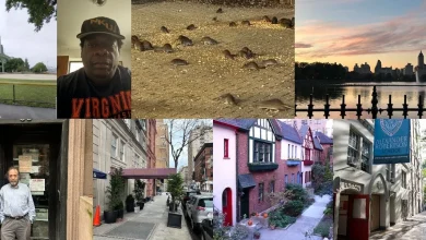 The 10 Most-Read West Side Rag Stories of 2025