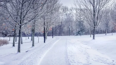 The ABI issues advice for homeowners and drivers ahead of upcoming cold weather