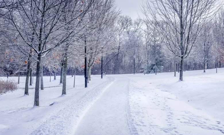 The ABI issues advice for homeowners and drivers ahead of upcoming cold weather