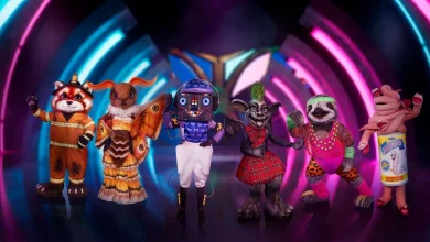 The Masked Singer 2026 contestants: Who are the characters?