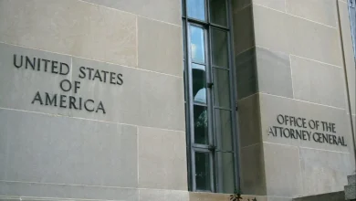 The Situation: A Temper Tantrum in a Legal Brief