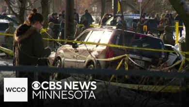 The Trump administration called Renee Good a domestic terrorist, but is that accurate?