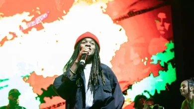 The Ultimate Guide to Festivals Celebrating Caribbean Music in 2026 (Updating)