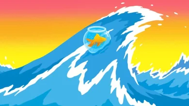 The Underrated Capability Every Leader Needs Now