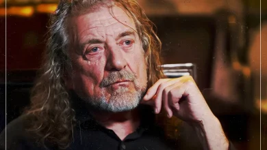 The artist Robert Plant called a level above The Rolling Stones