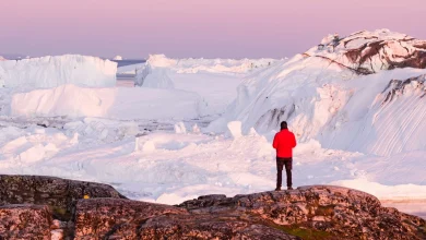 'The scientific cost would be severe': A Trump Greenland takeover would put climate research at risk