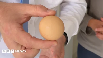 The search for a spherical egg for a spherical cup