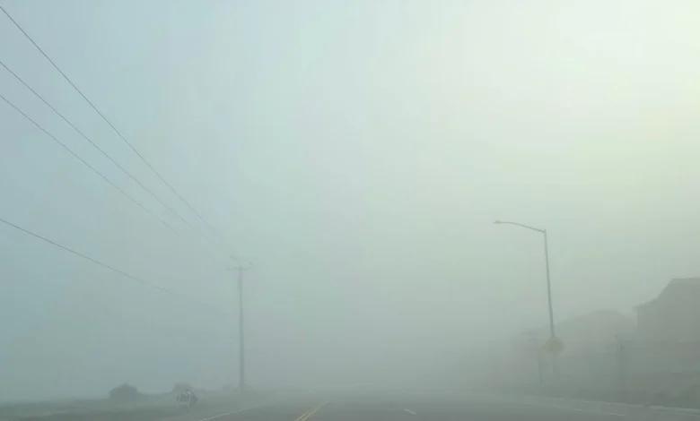 The thickest fog in the Valley in decades!