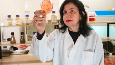 These farmers can cut pollution and fight hunger — with bacteria