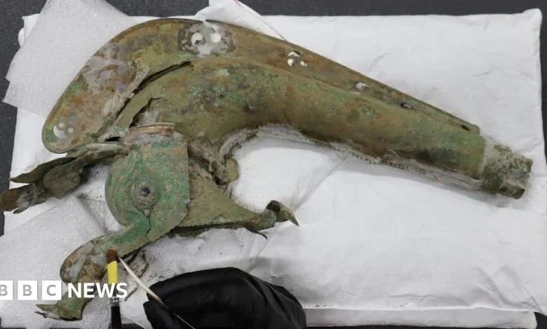 Thetford dig unearths Iron Age war trumpet and boar standard