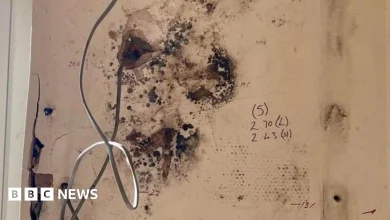 Thousands at risk in unsafe homes after failed insulation schemes