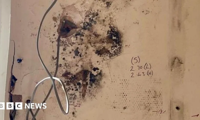 Thousands at risk in unsafe homes after failed insulation schemes