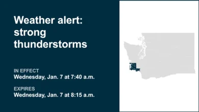 Thunderstorms with pea-sized hail in Southwest Washington Wednesday