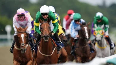 Today on Sky Sports Racing: Lingfield, Newcastle and Southwell feature live on Saturday