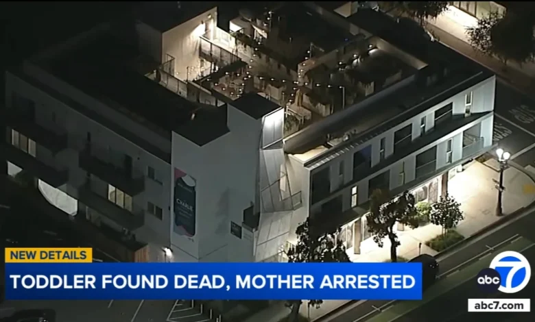 Toddler found in Santa Monica apartment dies from injuries involving frying pan; mother in custody