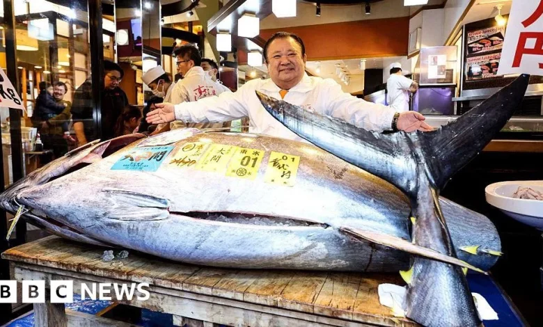 Tokyo fish auction sees bluefin tuna fetching record $3.2m