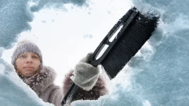 Tomorrow's Weather Winnipeg (Jan 09): Snow Evening, Cold Day Ahead