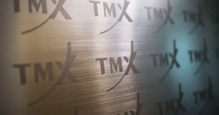 Toronto Stock Exchange plunges due to massive precious metals sell-off