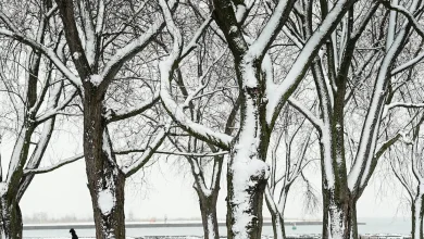 Toronto will feel like -24 on Friday as bitterly cold temperatures persist. Follow live updates here.