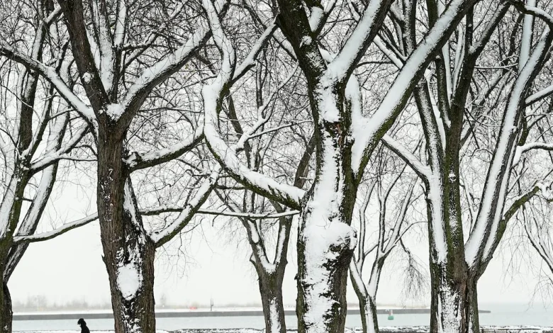 Toronto will feel like -24 on Friday as bitterly cold temperatures persist. Follow live updates here.