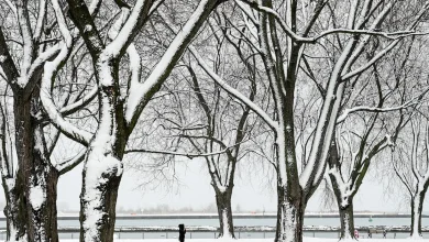Toronto’s Pearson airport records wind chill of -30 this morning amid extreme cold warning