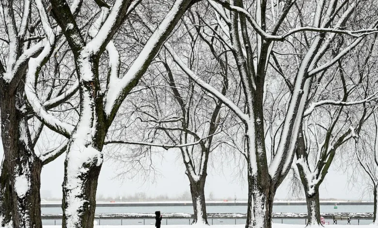 Toronto’s Pearson airport records wind chill of -30 this morning amid extreme cold warning