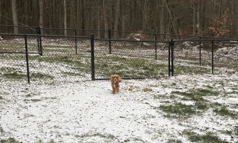 Tracking the storm: Wintry precipitation pays the Chattanooga area a visit Saturday