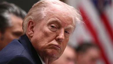 Trump Admits He Is “Not at All” Deescalating ICE Raids After Democrats Fold on Government Shutdown