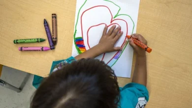 Trump administration freezes billions in social services funding to five Democratic states