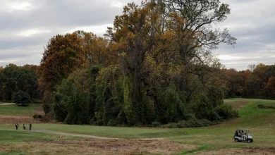 Trump administration terminates lease for Washington's public golf courses