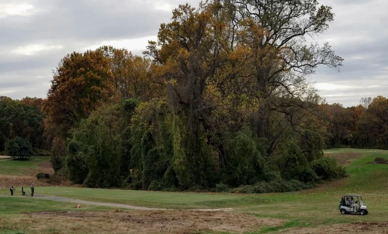 Trump administration terminates lease for Washington's public golf courses